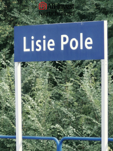 Dom Sprzedaż Lisie Pole 1