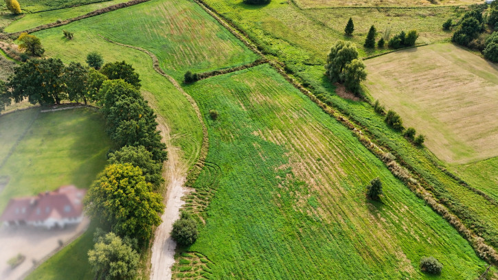 Działka Sprzedaż Radzanek 3