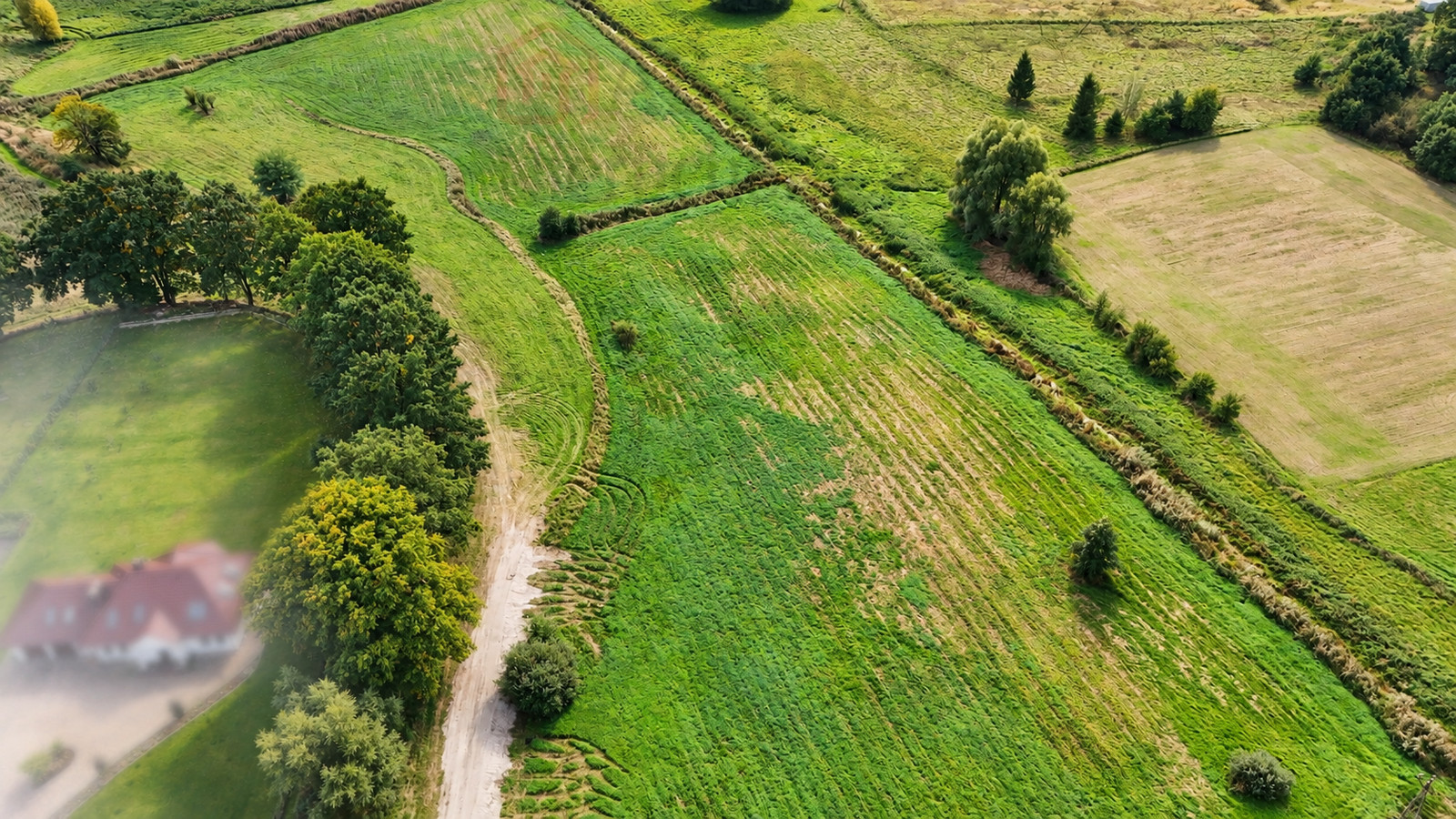 Działka Sprzedaż Radzanek