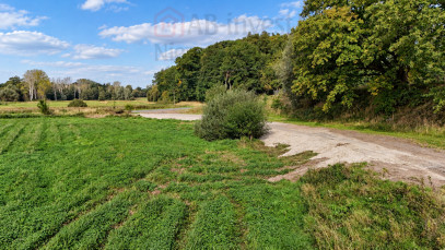 Działka Sprzedaż Radzanek