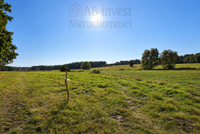 Działka Sprzedaż Radzanek