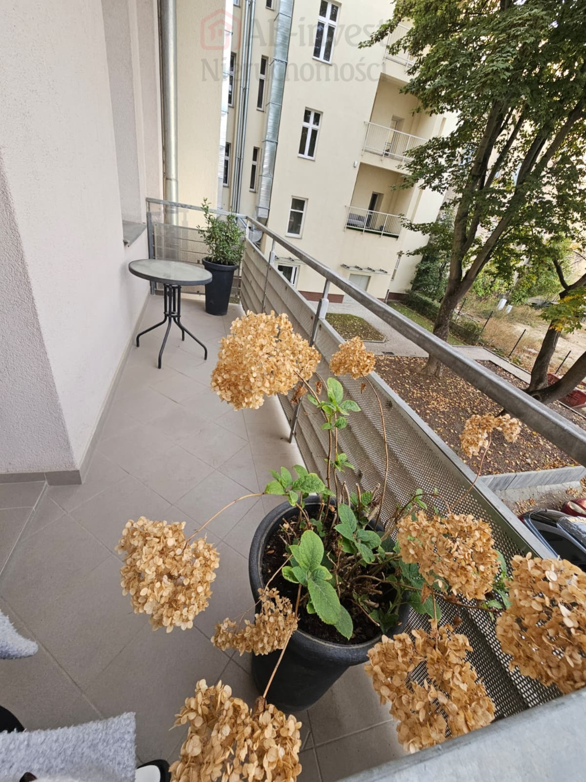 Mieszkanie Wynajem Szczecin Śródmieście-Centrum Księcia Bogusława X