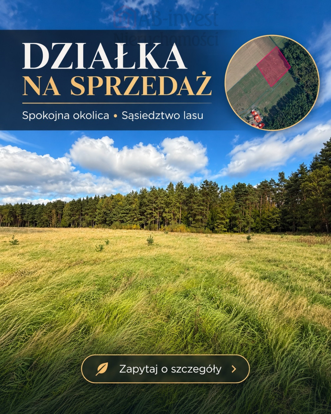 Działka Sprzedaż Drzewica
