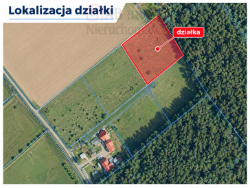 Działka Sprzedaż Drzewica
