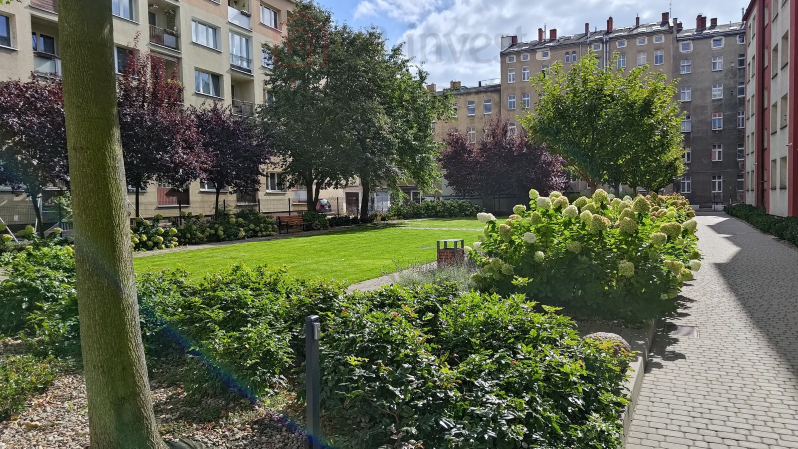 Mieszkanie Sprzedaż Szczecin Śródmieście-Centrum Potulicka 12