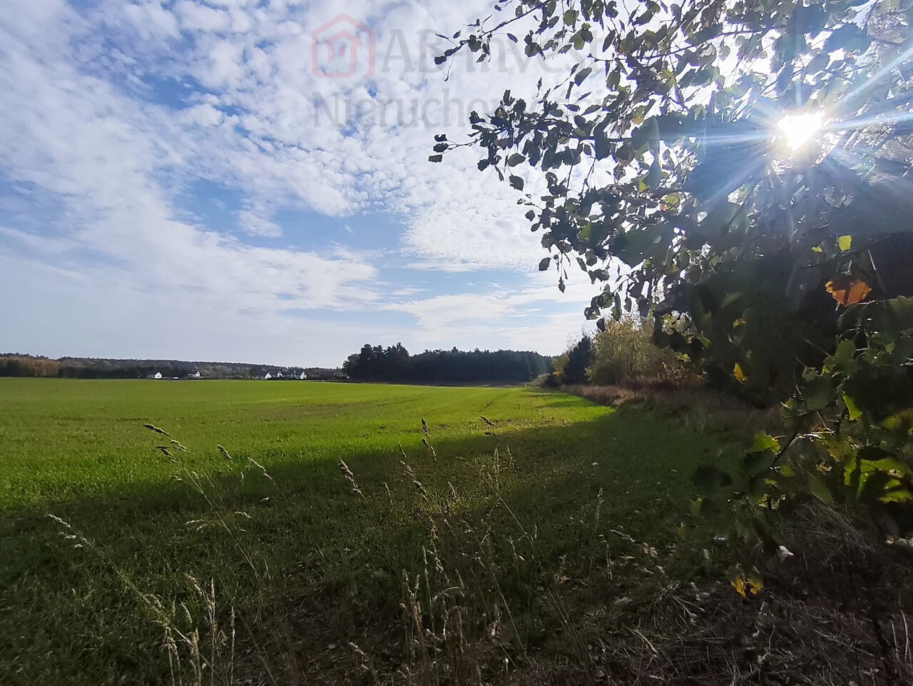 Działka Sprzedaż Grabowo 5