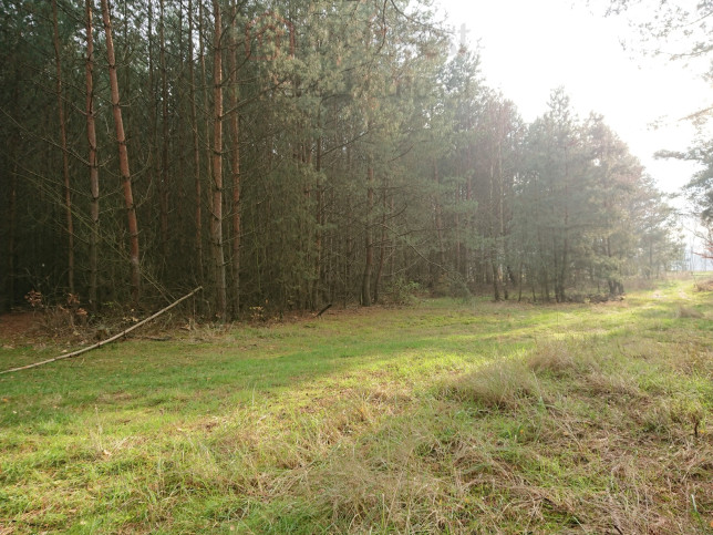 Działka Sprzedaż Starzyce 4