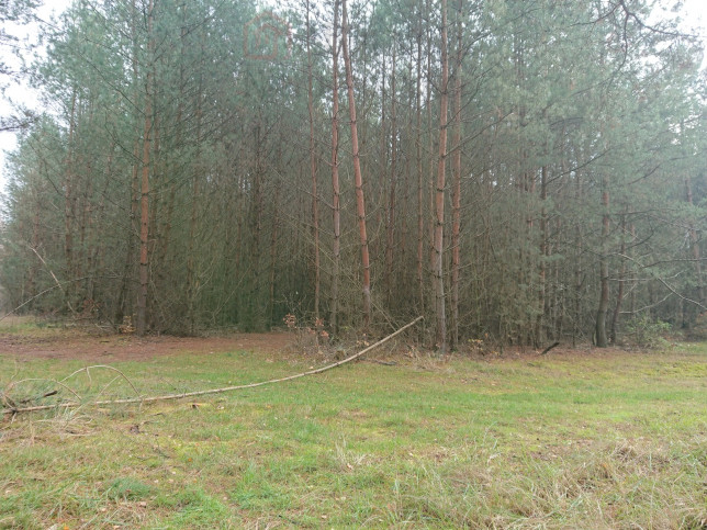 Działka Sprzedaż Starzyce 1