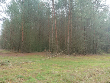 Działka Sprzedaż Starzyce