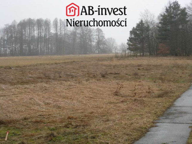 Działka Sprzedaż Stepnica 17