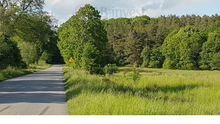 Działka Sprzedaż Swobnica 2