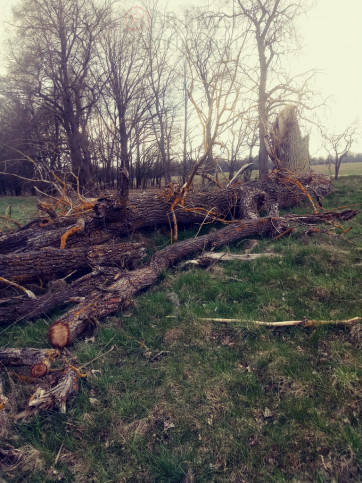 Działka Sprzedaż Łęgi 5