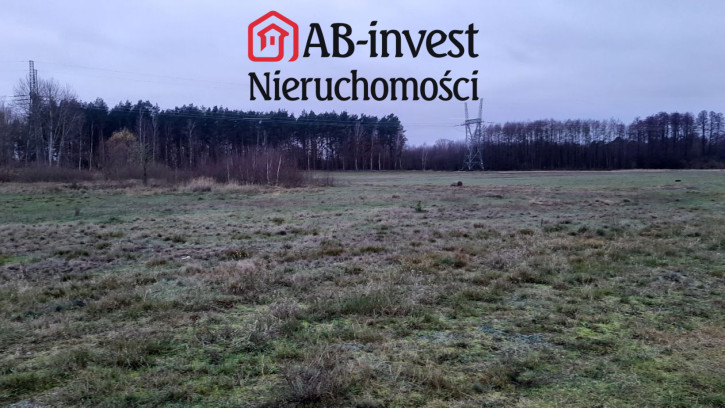 Działka Sprzedaż Stepnica 6