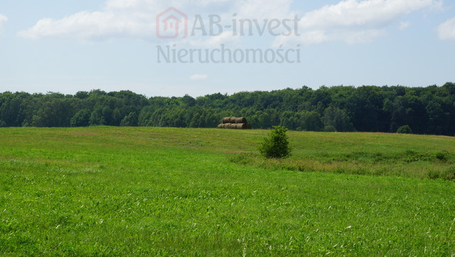 Działka Sprzedaż Bobolice 1