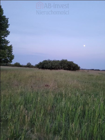 Działka Sprzedaż Lubczyna 4