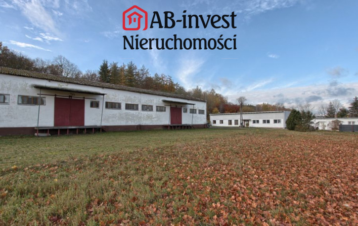 Magazyn Sprzedaż Dziwogóra 19