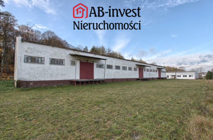 Magazyn Sprzedaż Dziwogóra 20