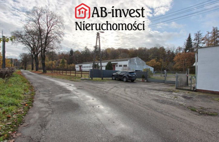 Magazyn Sprzedaż Dziwogóra 10