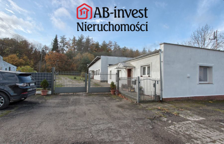 Magazyn Sprzedaż Dziwogóra 11