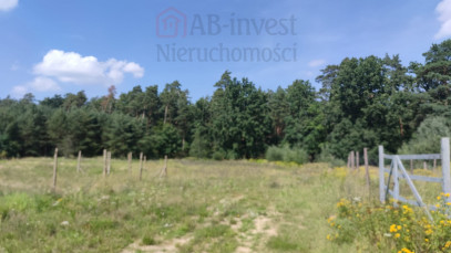 Działka Sprzedaż Kościno