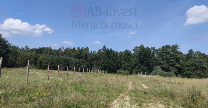 Działka Sprzedaż Kościno 4