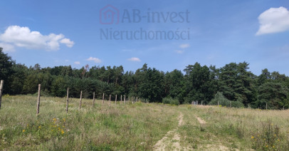 Działka Sprzedaż Kościno