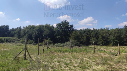 Działka Sprzedaż Kościno