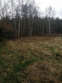 Działka Sprzedaż Stawno