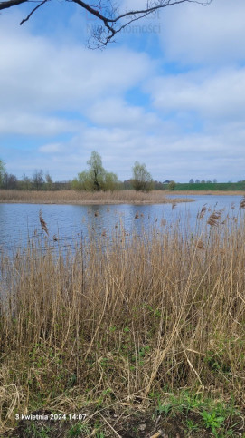 Działka Sprzedaż Zieleniewo 1