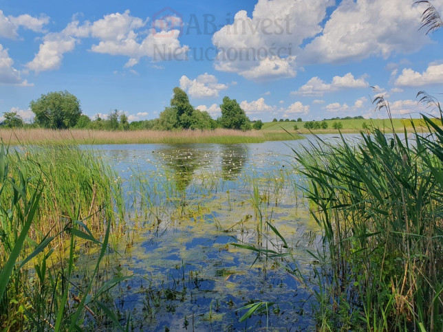 Działka Sprzedaż Zieleniewo 2