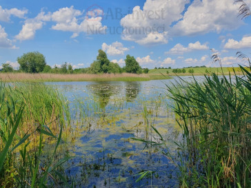 Działka Sprzedaż Zieleniewo
